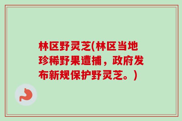 林区野灵芝(林区当地珍稀野果遭捕,政府发布新规保护野灵芝。) 林区野灵芝(林区当地珍稀野果遭捕,政府发布新规保护野灵芝。)