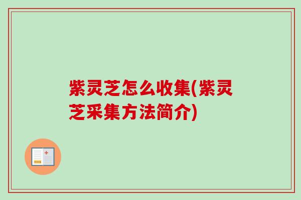 紫灵芝怎么收集(紫灵芝采集方法简介)