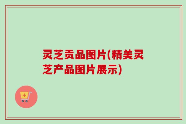 灵芝贡品图片(精美灵芝产品图片展示) 灵芝贡品图片(精美灵芝产品图片展示)