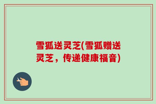 雪狐送灵芝(雪狐赠送灵芝,传递健康福音) 雪狐送灵芝(雪狐赠送灵芝,传递健康福音)