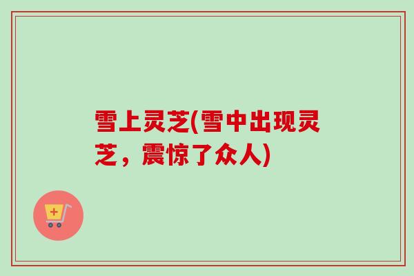 雪上灵芝(雪中出现灵芝,震惊了众人) 雪上灵芝(雪中出现灵芝,震惊了众人)