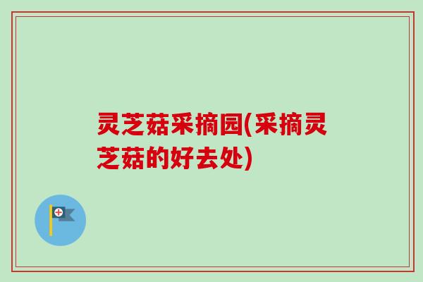 灵芝菇采摘园(采摘灵芝菇的好去处) 灵芝菇采摘园(采摘灵芝菇的好去处)