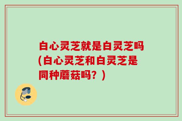 白心灵芝就是白灵芝吗(白心灵芝和白灵芝是同种蘑菇吗？)