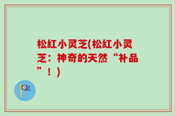 松红小灵芝(松红小灵芝:神奇的天然“补品”!) 松红小灵芝(松红小灵芝:神奇的天然“补品”!)