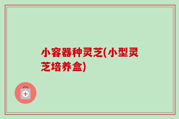 小容器种灵芝(小型灵芝培养盒)