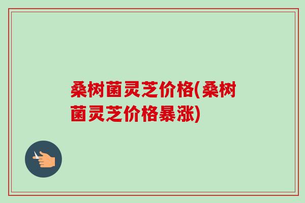 桑树菌灵芝价格(桑树菌灵芝价格暴涨) 桑树菌灵芝价格(桑树菌灵芝价格暴涨)