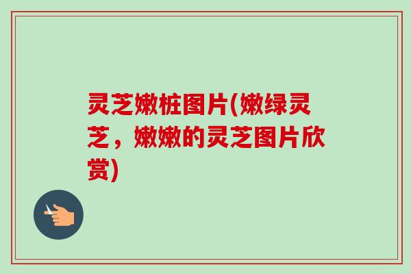 灵芝嫩桩图片(嫩绿灵芝,嫩嫩的灵芝图片欣赏) 灵芝嫩桩图片(嫩绿灵芝,嫩嫩的灵芝图片欣赏)