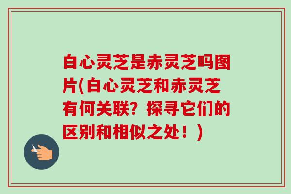 白心灵芝是赤灵芝吗图片(白心灵芝和赤灵芝有何关联?探寻它们的区别和相似之处!) 白心灵芝是赤灵芝吗图片(白心灵芝和赤灵芝有何关联?探寻它们的区别和相似之处!)