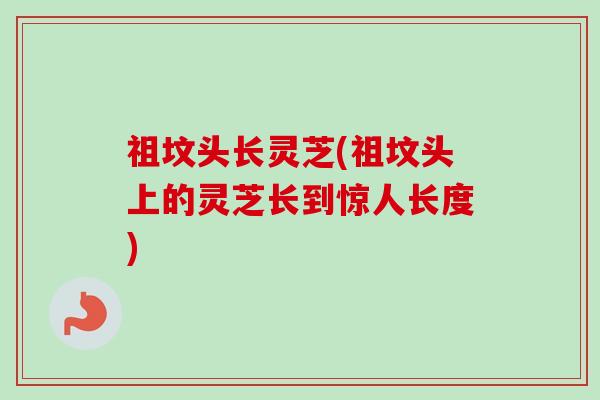 祖坟头长灵芝(祖坟头上的灵芝长到惊人长度) 祖坟头长灵芝(祖坟头上的灵芝长到惊人长度)
