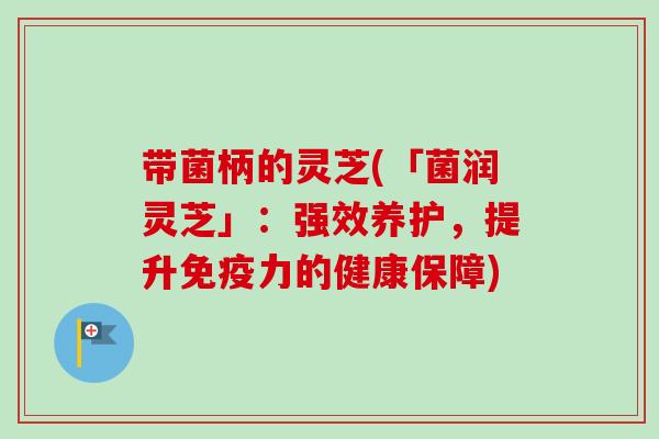 带菌柄的灵芝(「菌润灵芝」:强效养护,提升免疫力的健康保障) 带菌柄的灵芝(「菌润灵芝」:强效养护,提升免疫力的健康保障)