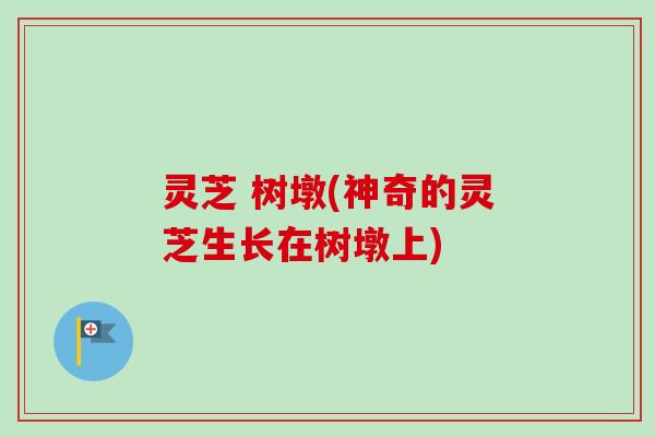 灵芝 树墩(神奇的灵芝生长在树墩上) 灵芝 树墩(神奇的灵芝生长在树墩上)