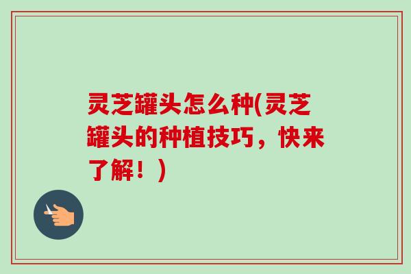 灵芝罐头怎么种(灵芝罐头的种植技巧,快来了解!) 灵芝罐头怎么种(灵芝罐头的种植技巧,快来了解!)