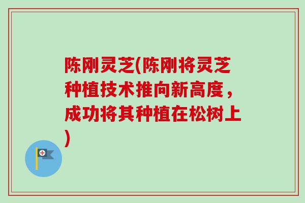 陈刚灵芝(陈刚将灵芝种植技术推向新高度,成功将其种植在松树上) 陈刚灵芝(陈刚将灵芝种植技术推向新高度,成功将其种植在松树上)
