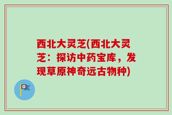 西北大灵芝(西北大灵芝:探访宝库,发现草原神奇远古物种) 西北大灵芝(西北大灵芝:探访宝库,发现草原神奇远古物种)