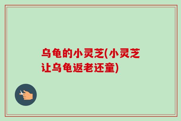 乌龟的小灵芝(小灵芝让乌龟返老还童) 乌龟的小灵芝(小灵芝让乌龟返老还童)