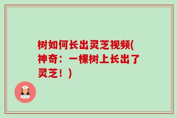 树如何长出灵芝视频(神奇:一棵树上长出了灵芝!) 树如何长出灵芝视频(神奇:一棵树上长出了灵芝!)