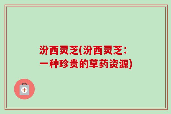 汾西灵芝(汾西灵芝:一种珍贵的草药资源) 汾西灵芝(汾西灵芝:一种珍贵的草药资源)