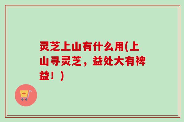 灵芝上山有什么用(上山寻灵芝,益处大有裨益!) 灵芝上山有什么用(上山寻灵芝,益处大有裨益!)