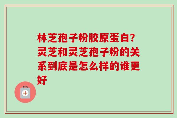 林芝孢子粉胶原蛋白？灵芝和灵芝孢子粉的关系到底是怎么样的谁更好