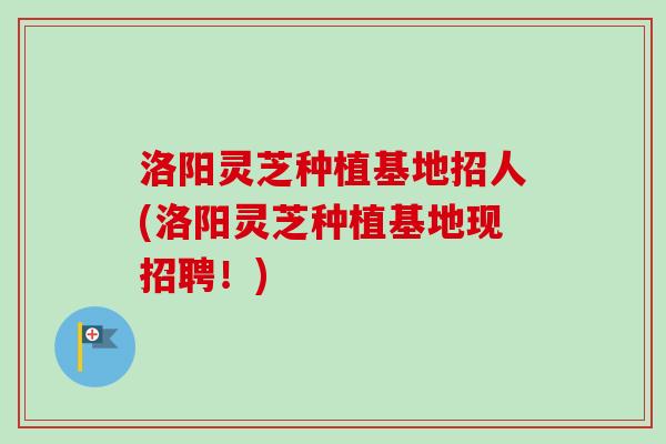 洛阳灵芝种植基地招人(洛阳灵芝种植基地现招聘！)