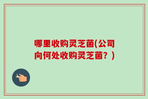 哪里收购灵芝菌(公司向何处收购灵芝菌?) 哪里收购灵芝菌(公司向何处收购灵芝菌?)