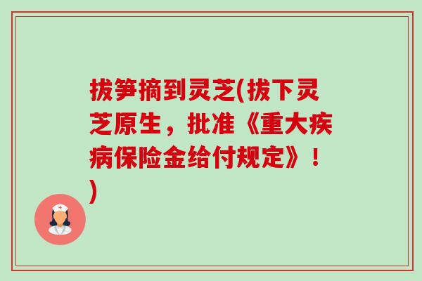 拔笋摘到灵芝(拔下灵芝原生，批准《重大保险金给付规定》！)