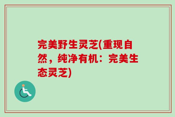 完美野生灵芝(重现自然，纯净有机：完美生态灵芝)