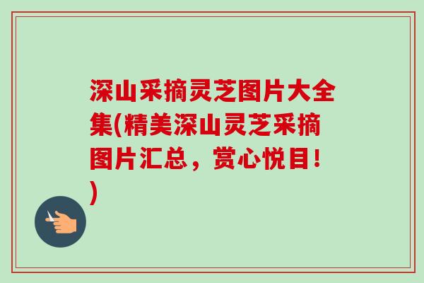 深山采摘灵芝图片大全集(精美深山灵芝采摘图片汇总,赏心悦目!) 深山采摘灵芝图片大全集(精美深山灵芝采摘图片汇总,赏心悦目!)