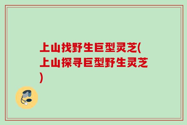 上山找野生巨型灵芝(上山探寻巨型野生灵芝) 上山找野生巨型灵芝(上山探寻巨型野生灵芝)