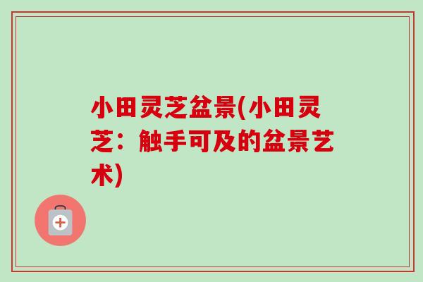 小田灵芝盆景(小田灵芝：触手可及的盆景艺术)