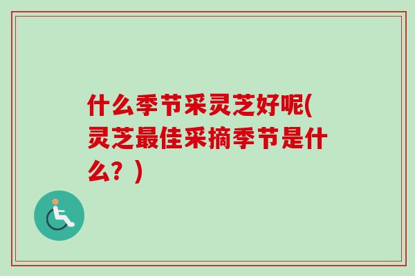 什么季节采灵芝好呢(灵芝佳采摘季节是什么？)