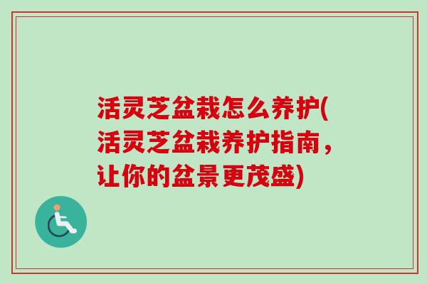 活灵芝盆栽怎么养护(活灵芝盆栽养护指南，让你的盆景更茂盛)