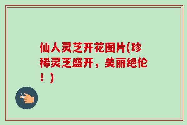 仙人灵芝开花图片(珍稀灵芝盛开,美丽绝伦!) 仙人灵芝开花图片(珍稀灵芝盛开,美丽绝伦!)