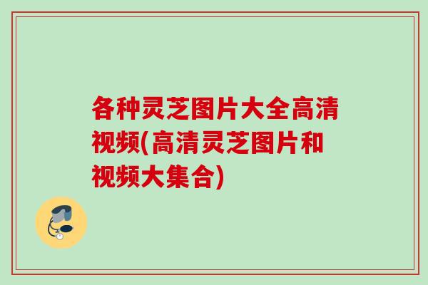 各种灵芝图片大全高清视频(高清灵芝图片和视频大集合) 各种灵芝图片大全高清视频(高清灵芝图片和视频大集合)