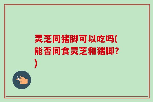 灵芝同猪脚可以吃吗(能否同食灵芝和猪脚?) 灵芝同猪脚可以吃吗(能否同食灵芝和猪脚?)