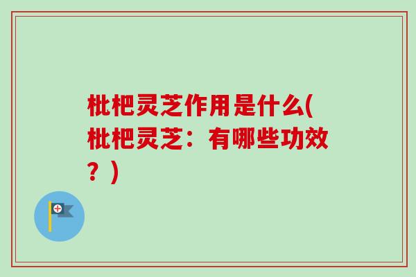 枇杷灵芝作用是什么(枇杷灵芝:有哪些功效?) 枇杷灵芝作用是什么(枇杷灵芝:有哪些功效?)