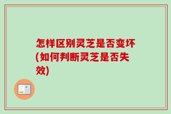 怎样区别灵芝是否变坏(如何判断灵芝是否失效)