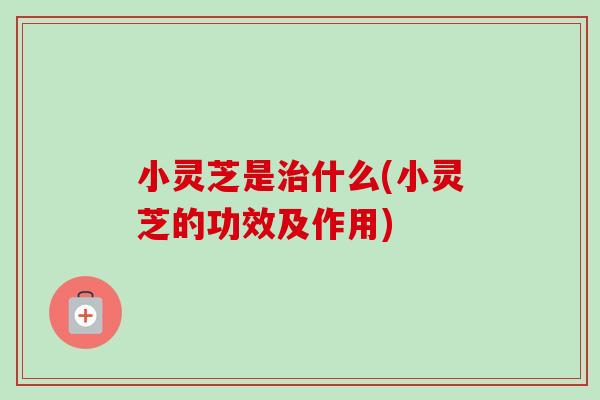 小灵芝是什么(小灵芝的功效及作用) 小灵芝是什么(小灵芝的功效及作用)