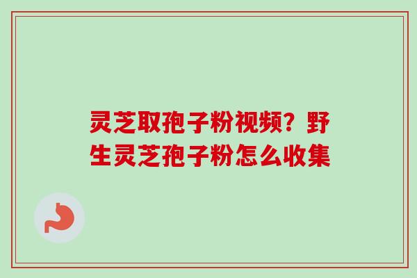 灵芝取孢子粉视频?野生灵芝孢子粉怎么收集 灵芝取孢子粉视频?野生灵芝孢子粉怎么收集