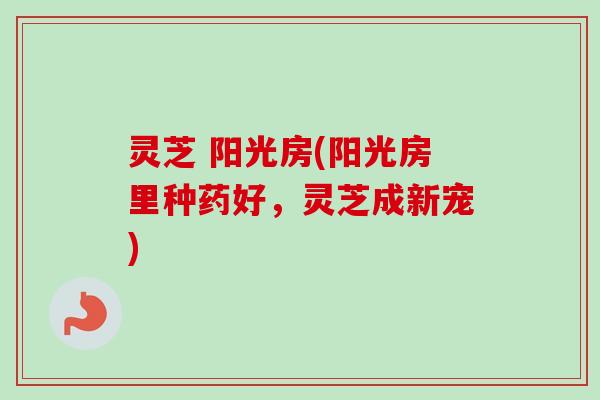 灵芝 阳光房(阳光房里种药好，灵芝成新宠)