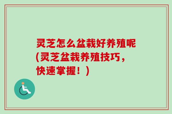 灵芝怎么盆栽好养殖呢(灵芝盆栽养殖技巧,快速掌握!) 灵芝怎么盆栽好养殖呢(灵芝盆栽养殖技巧,快速掌握!)