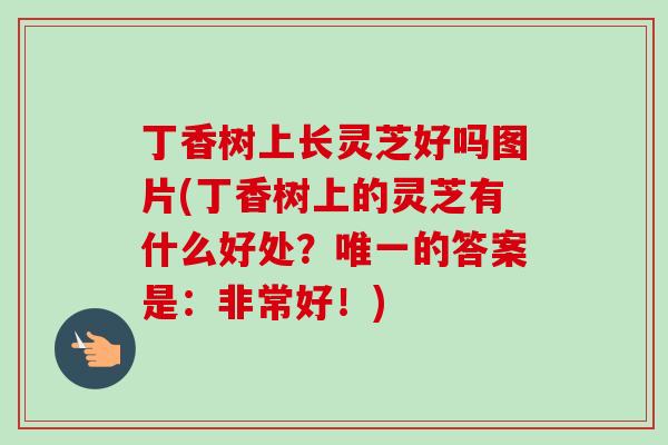丁香树上长灵芝好吗图片(丁香树上的灵芝有什么好处?的答案是:非常好!) 丁香树上长灵芝好吗图片(丁香树上的灵芝有什么好处?的答案是:非常好!)