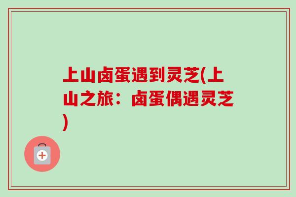 上山卤蛋遇到灵芝(上山之旅:卤蛋偶遇灵芝) 上山卤蛋遇到灵芝(上山之旅:卤蛋偶遇灵芝)