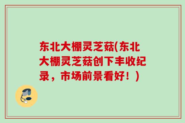 东北大棚灵芝菇(东北大棚灵芝菇创下丰收纪录,市场前景看好!) 东北大棚灵芝菇(东北大棚灵芝菇创下丰收纪录,市场前景看好!)