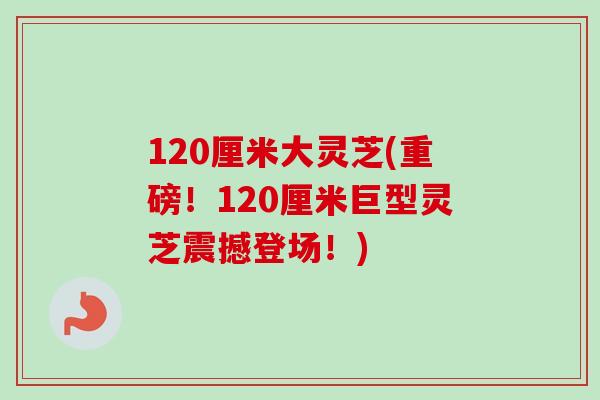 120厘米大灵芝(重磅!120厘米巨型灵芝震撼登场!) 120厘米大灵芝(重磅!120厘米巨型灵芝震撼登场!)