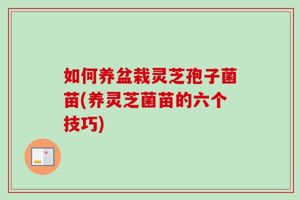 如何养盆栽灵芝孢子菌苗(养灵芝菌苗的六个技巧) 如何养盆栽灵芝孢子菌苗(养灵芝菌苗的六个技巧)