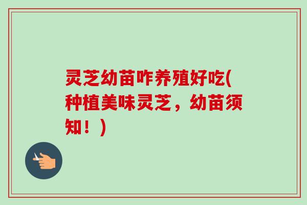 灵芝幼苗咋养殖好吃(种植美味灵芝,幼苗须知!) 灵芝幼苗咋养殖好吃(种植美味灵芝,幼苗须知!)