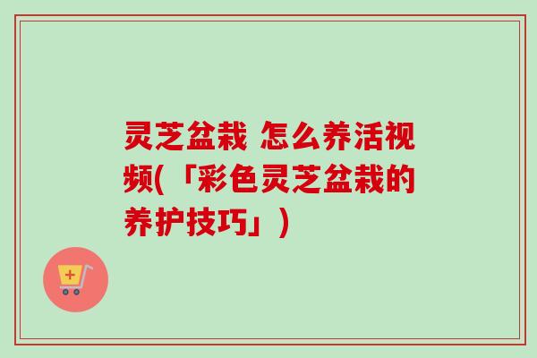 灵芝盆栽 怎么养活视频(「彩色灵芝盆栽的养护技巧」) 灵芝盆栽 怎么养活视频(「彩色灵芝盆栽的养护技巧」)