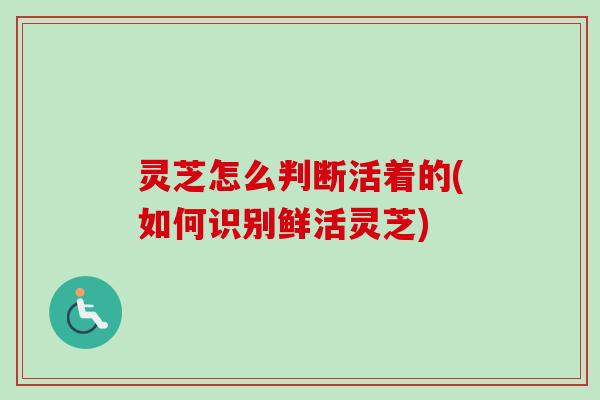 灵芝怎么判断活着的(如何识别鲜活灵芝)