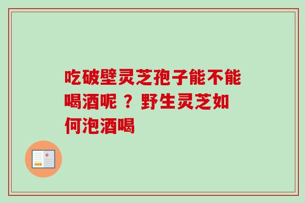 吃破壁灵芝孢子能不能喝酒呢 ?野生灵芝如何泡酒喝 吃破壁灵芝孢子能不能喝酒呢 ?野生灵芝如何泡酒喝